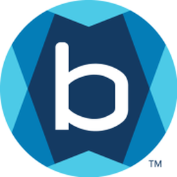 Berxi logo